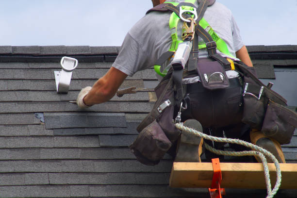 Best Roof Gutter Cleaning  in Yale, MI