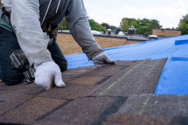 Best Gutter Installation and Roofing  in Yale, MI