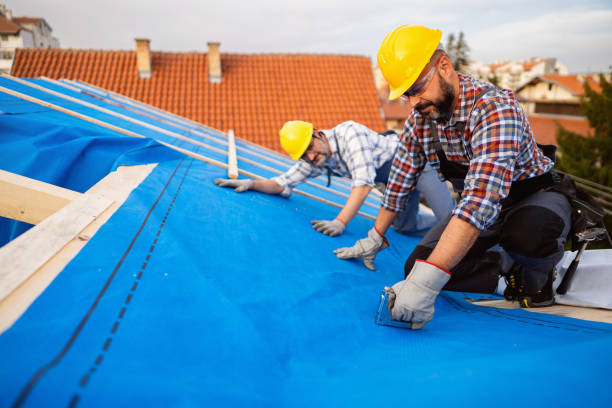Best Roof Repair Services  in Yale, MI