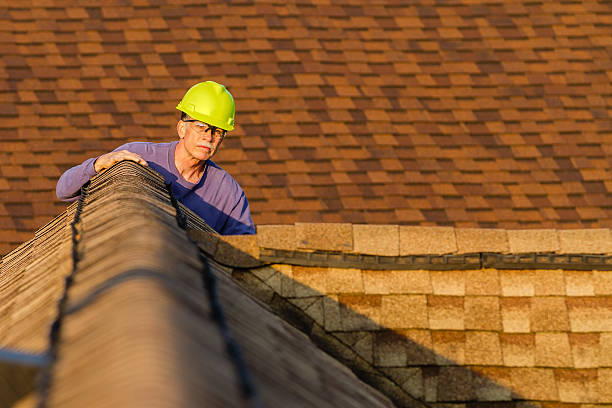 Roof Gutter Cleaning in Yale, MI