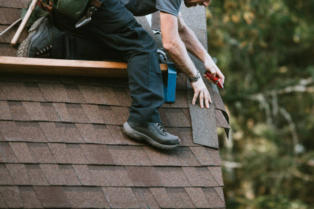 Best Roof Maintenance Services  in Yale, MI